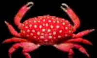 Rare 'mutant' animals
