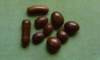 Rare stones in animal organs