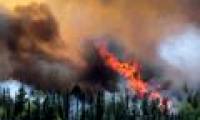 Red alert of the risk of Southwestern forest fire in the United States
