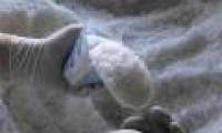 Reducing 3 grams of salt can help 92,000 people escape death each year
