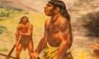 Reject the role of FOXP2 gene in human language evolution