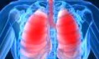 Rejuvenate the organ before transplanting