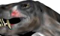Reptiles are as big as dogs, with venom before snakes appear