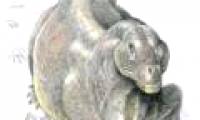 Reptiles stand upright after the Fermi extinction