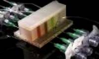 Research microflora with artificial gut