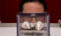 Research on misleading mice because of 'male smell'
