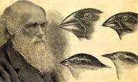 Research points to 'holes' in Darwin's theory of evolution