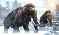 Researcher wants to release thousands of mammoths in the Arctic