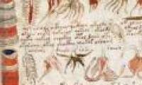 Reveal a part of the world's most mysterious book