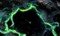 Reveal earthquake 'hot spots' in the world