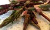 Reveal the most expensive vegetable on the planet, the price up to 26 million / kg