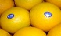 Revealing Chinese fruit