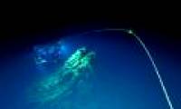 Revealing new ecosystems under the deepest