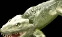 Revealing the first animal species to live on the ground