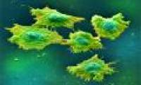 Reverse effects of chemotherapy and radiation therapy