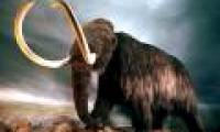 Reviving mammoths