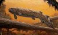 Rhizodus hibberti: Horror monster of the Carbon era