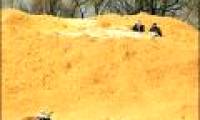 Rice husk is a clean construction material