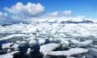 Risks from carbon dioxide in the next millennium