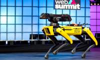 Robot dog sold after 10 years of testing, cost more than 70,000 USD