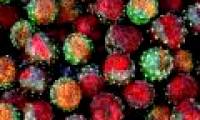 Round your eyes in amazement with a rainbow of 7 colors rainbow in Mexico