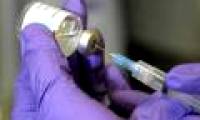 Rubella vaccination should not be given during pregnancy