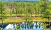 Russia and Mongolia will establish transnational conservation zones