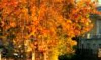 Russia experienced the warmest fourth autumn in history