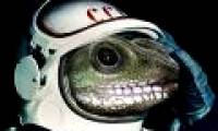 Russia is about to bring geckos to the universe