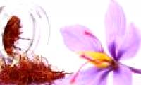 Saffron - Saffron is really divine as rumor?