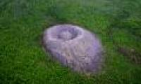 'Scary eagle nest' mysterious in Siberia