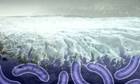 Science awakens 48,500-year-old 'sleeping' virus for surprising reason