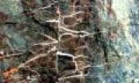 Science finds the stone