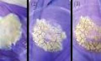 Scientists create cosmic dust in the oven ... microwave