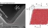 Scientists create flexible glass that can only be bent, not broken