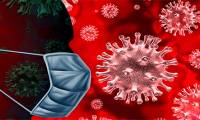 Scientists have finally figured out what makes the coronavirus so dangerous