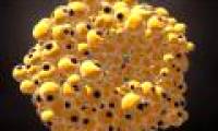 Scientists have successfully turned breast cancer cells into ... fat