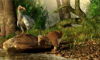 Scientists plan to bring back the Dodo bird, but how exactly will they do it?
