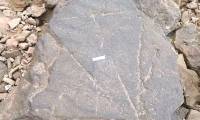 Scientists rescue half-ton 'evidence of human civilization' at the southern tip of the Black Continent