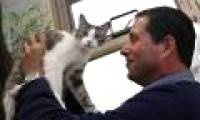 Scientists succeed in studying cat language