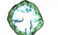 Sea water - The key to forming the most abundant diamond mines in the world