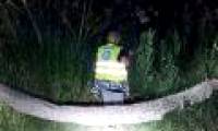 Search for landmarks nearly 5 meters long on the banks of the Polish river