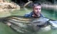 Search for legendary monsters in the Malaysian rainforest