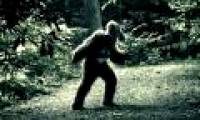Search for traces of 3 giant monsters on Earth: The scientific world cannot ignore it