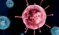 Seasonal flu virus is a descendant of the 'killer' that killed 100 million people?