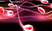 Secret decoding of the