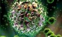 Secret discovery of natural HIV-resistant cells