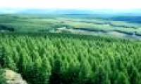 See China turn the desert dry into a carpet of over 7,000 hectares