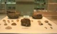 See the 5,200-year-old mollusk shell in Dong Thap Muoi
