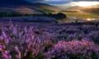 See the beautiful nature peaceful on Earth Day